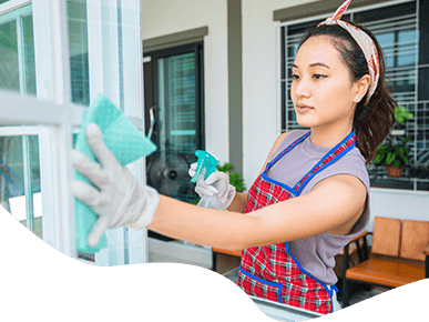 Pest Control Brisbane